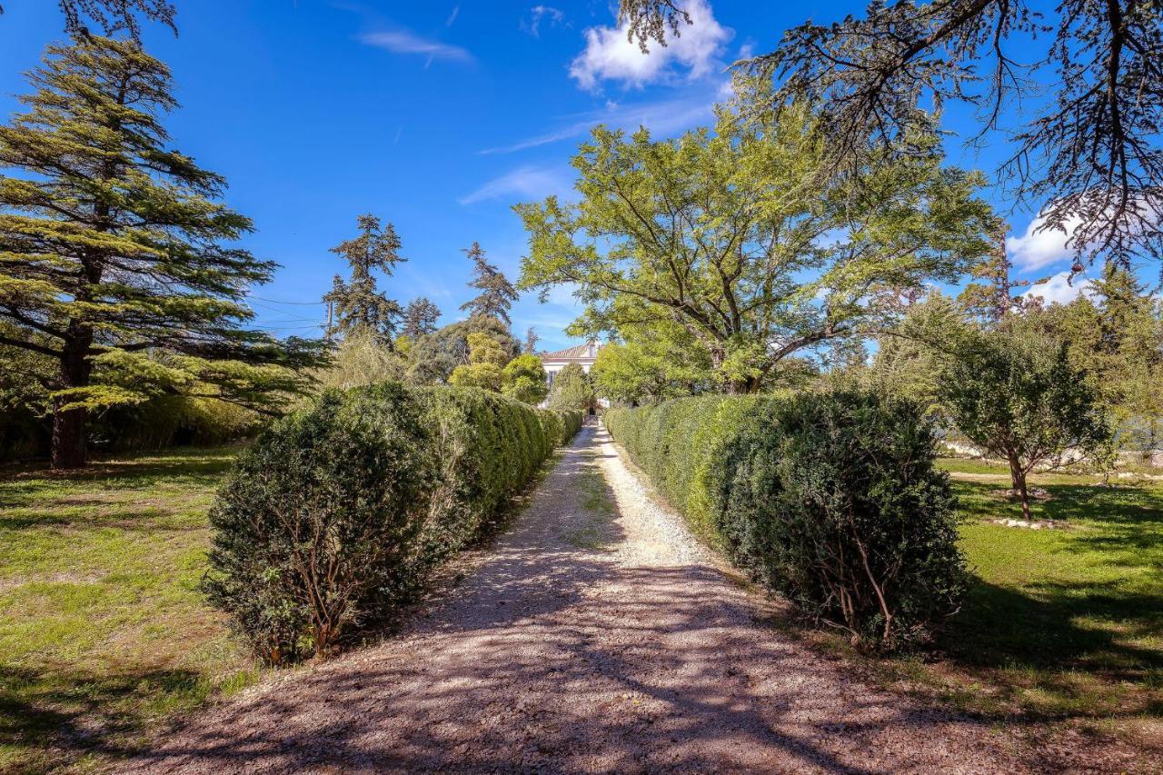 B&B En Provence- Villa Saint Marc Форкальк'є Екстер'єр фото